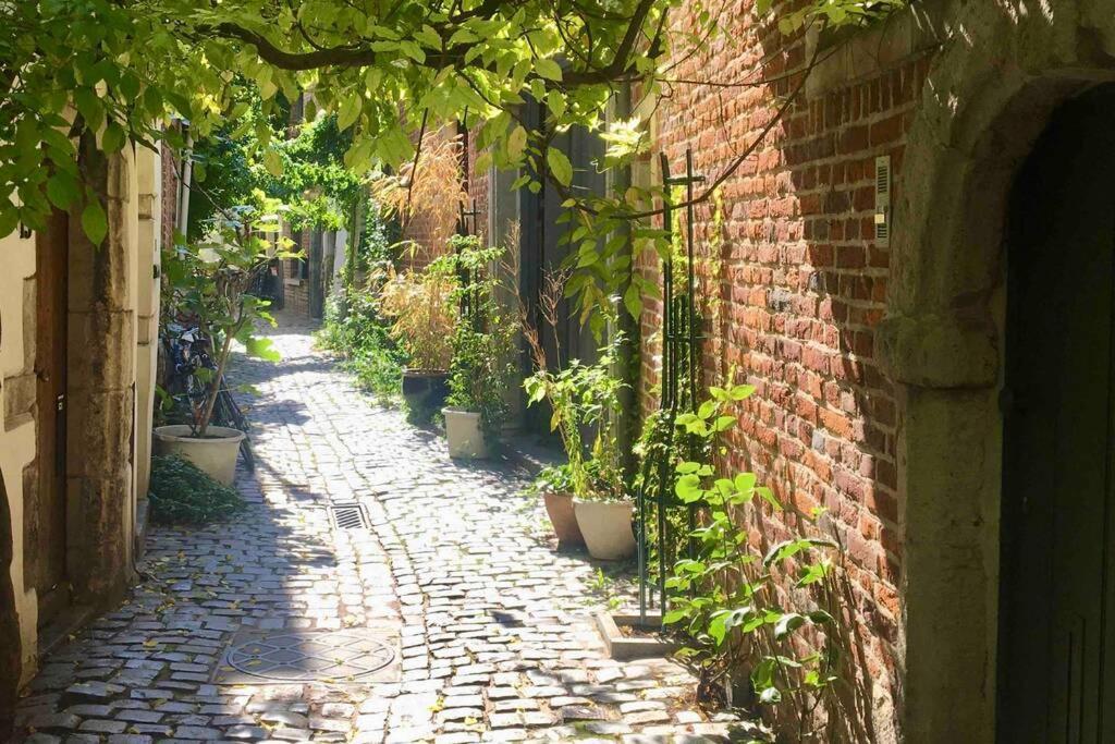 Apartamento En Plein Coeur De Bruxelles. Superbe Duplex.a Voir! Bruselas